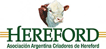 asociacion argentina de criadores hereford